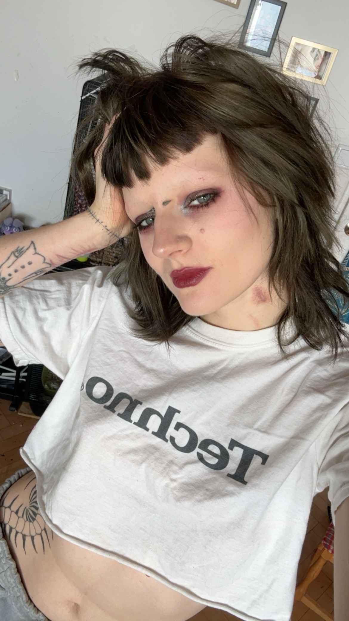 Sal - zaufany petsitter Gdańsk