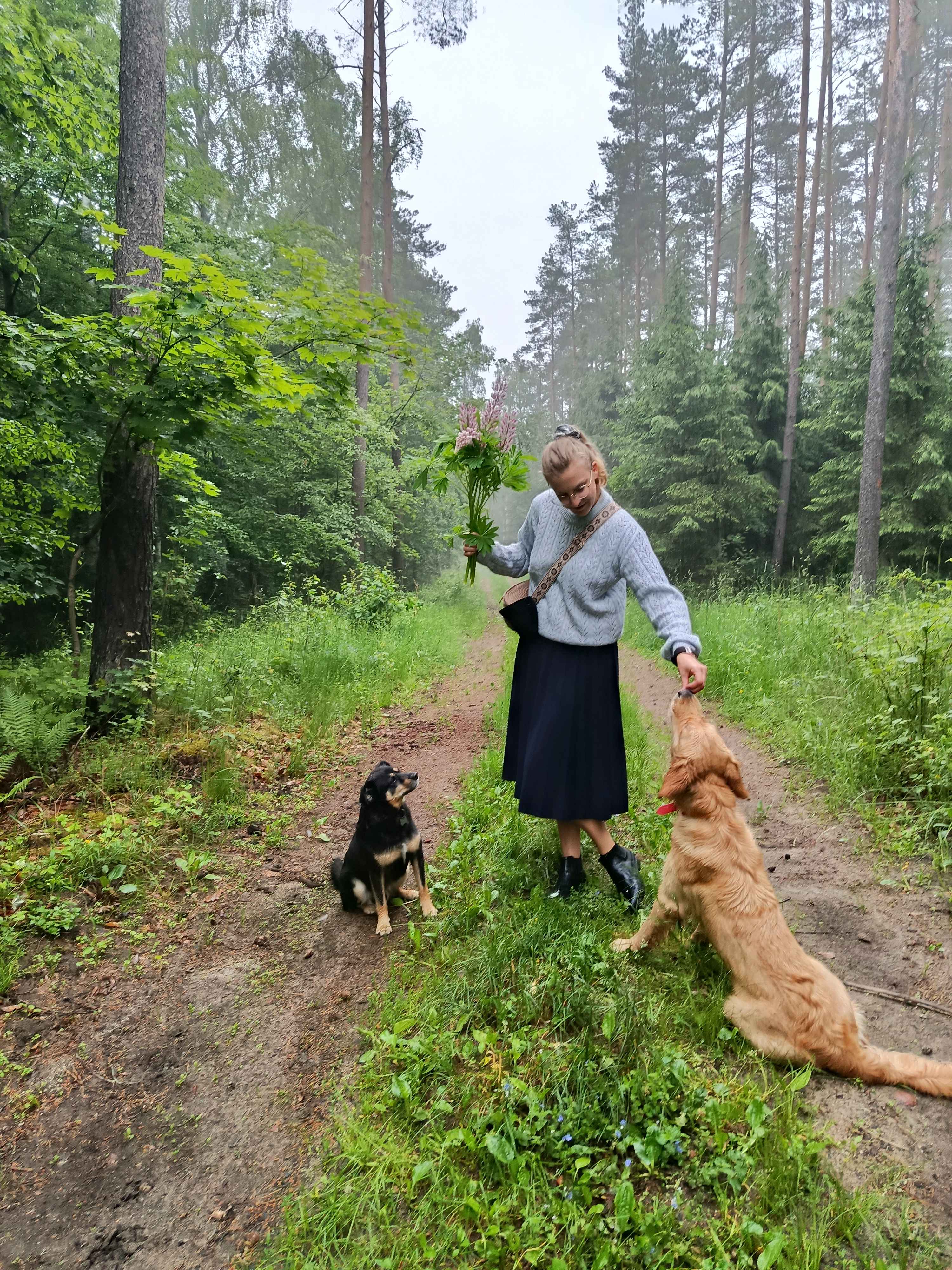 Maja
