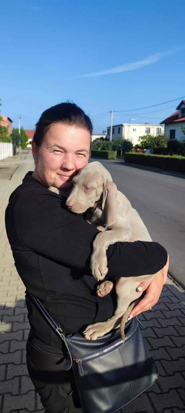 Sylwia